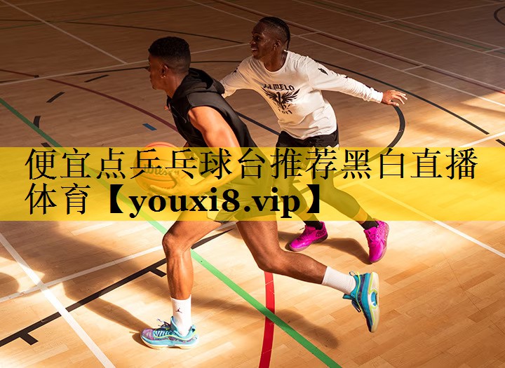 便宜点乒乓球台推荐黑白直播 体育