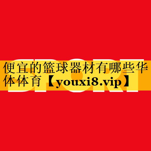 便宜的篮球器材有哪些华体体育