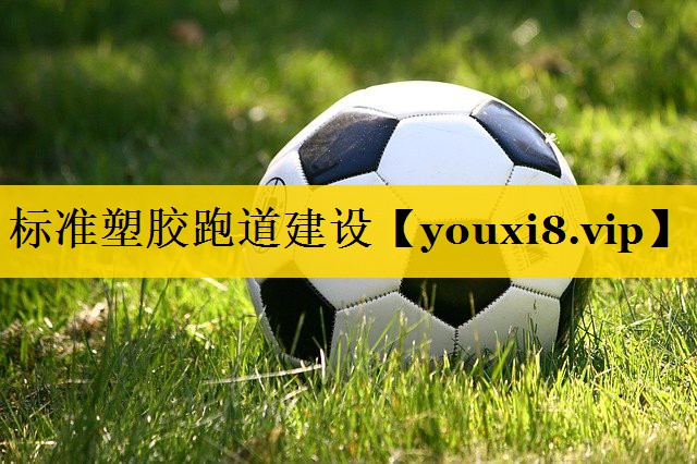 标准塑胶跑道建设