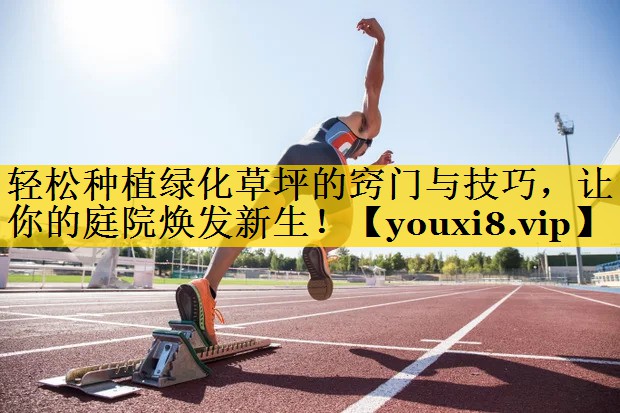 轻松种植绿化草坪的窍门与技巧，让你的庭院焕发新生！